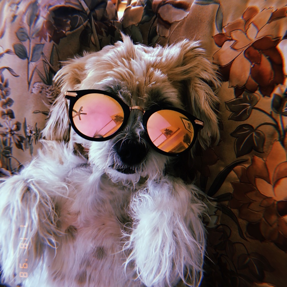 Meet your Posher, Sydney